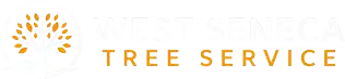 westsenecatreeservice.com