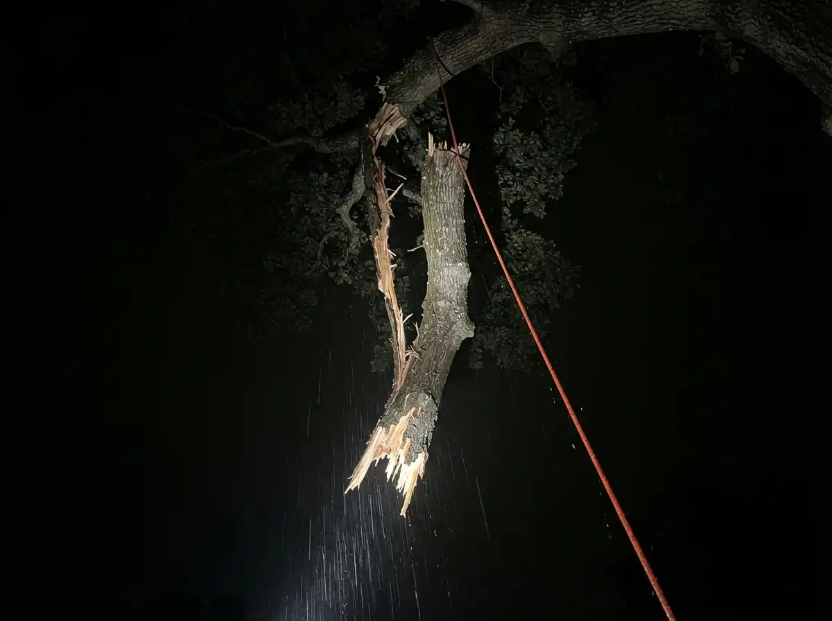 Hanging limb secured before daylight